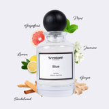 Bleu De Chanel inspired perfume by Scentore – long lasting fresh woody men’s fragrance bottle