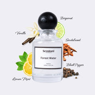 Gypsy water inspired perfume by Scentore – long lasting fresh woody unisex fragrance bottle