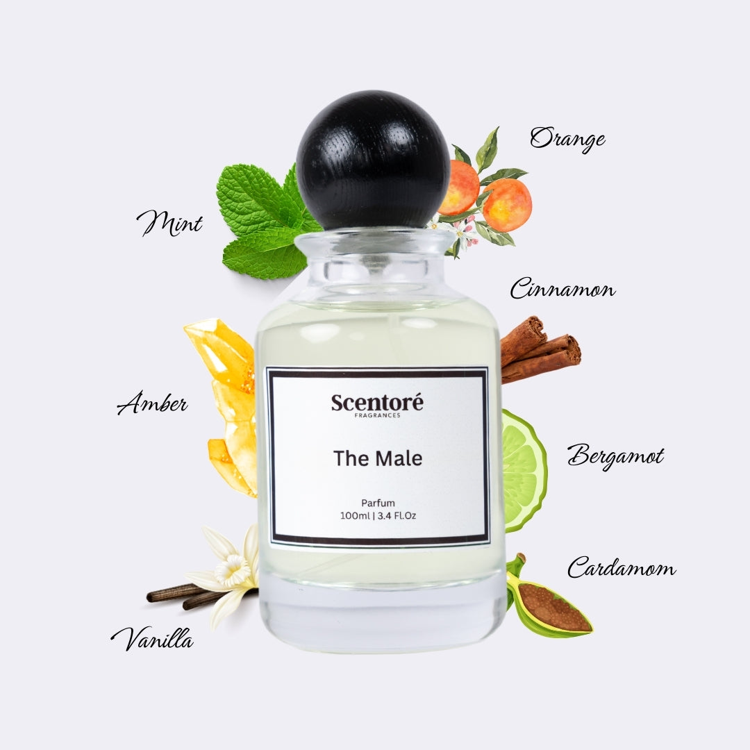 Le Male inspired perfume by Scentore – long lasting sweet spicy men’s fragrance bottle